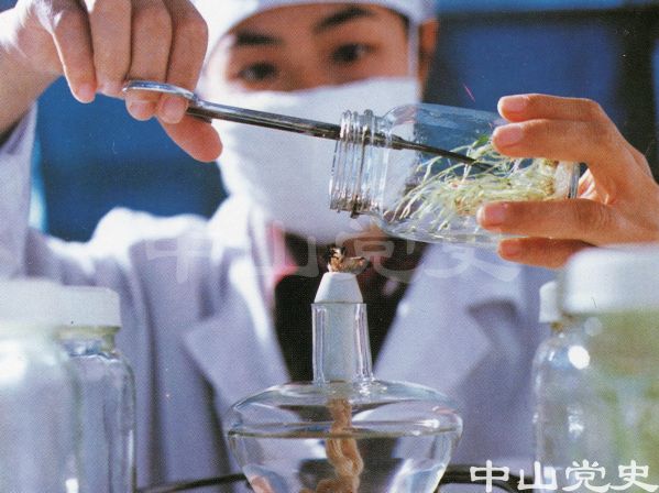 中山生物工程厂在进行农科实验2.jpg